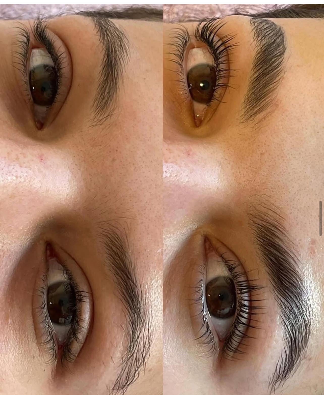 Brow lamination brow shape & tint