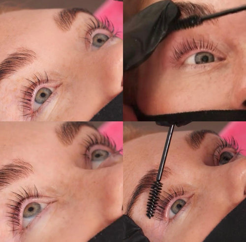 Lash Lift & Tint Course Only